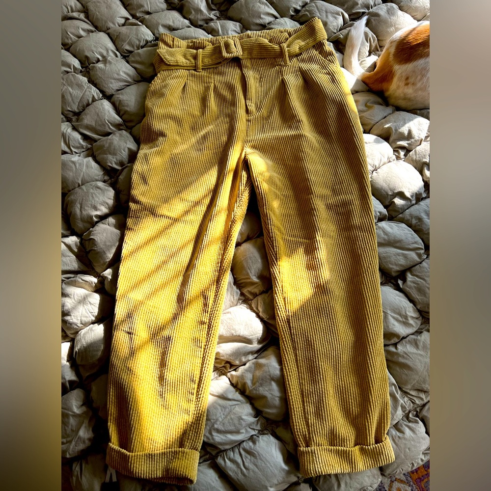 Wild fable paper bag corduroy pants